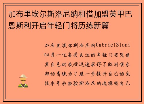 加布里埃尔斯洛尼纳租借加盟英甲巴恩斯利开启年轻门将历练新篇